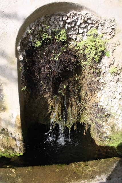Importance Of One Of 4 Pitagoric Elements Water